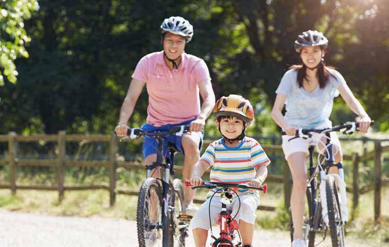 Bike tours
